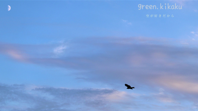 グリーン企画のキリトリセカイ 月十鳥